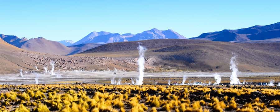 4 TOUR IN ATACAMA IN 3 DAYS - Day two afternoon: Cejar Lagoon and the salt flats