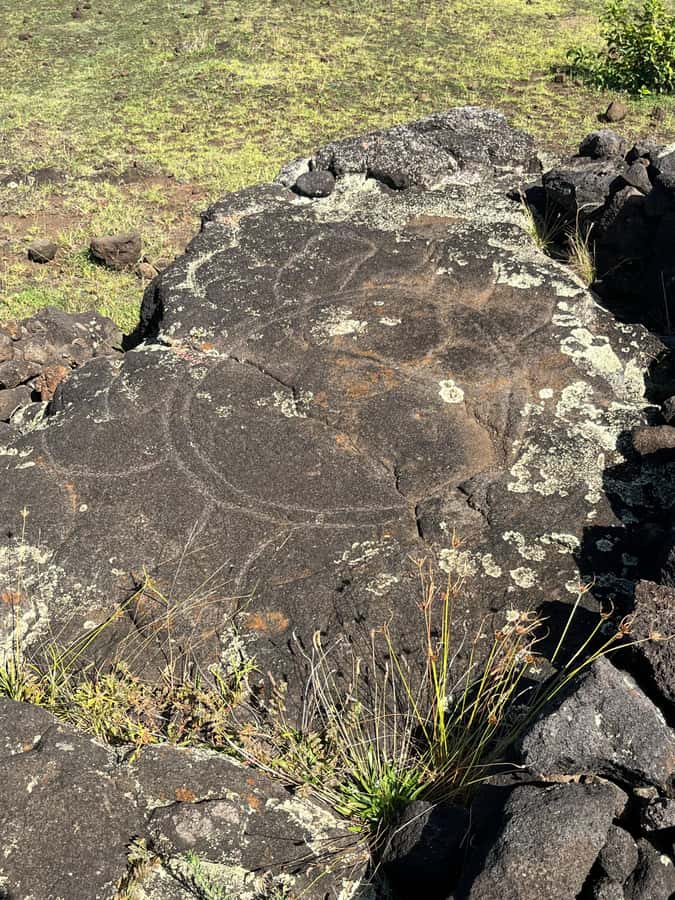Adventures in Rapa Nui: High-quality tourism with Easter Island Your Tour. - Rano Raraku explains where the moai came from