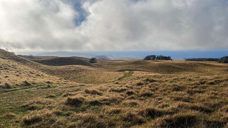 Adventures in Rapa Nui: High-quality tourism with Easter Island Your Tour. - Hotel pickup keeps the morning simple