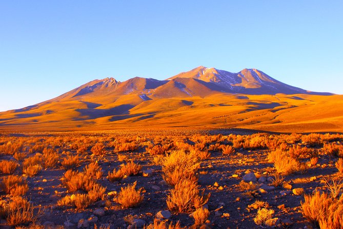 Altiplanic Lagoons & Piedras Rojas Tour from San Pedro de Atacama - How much value do you get for $113?