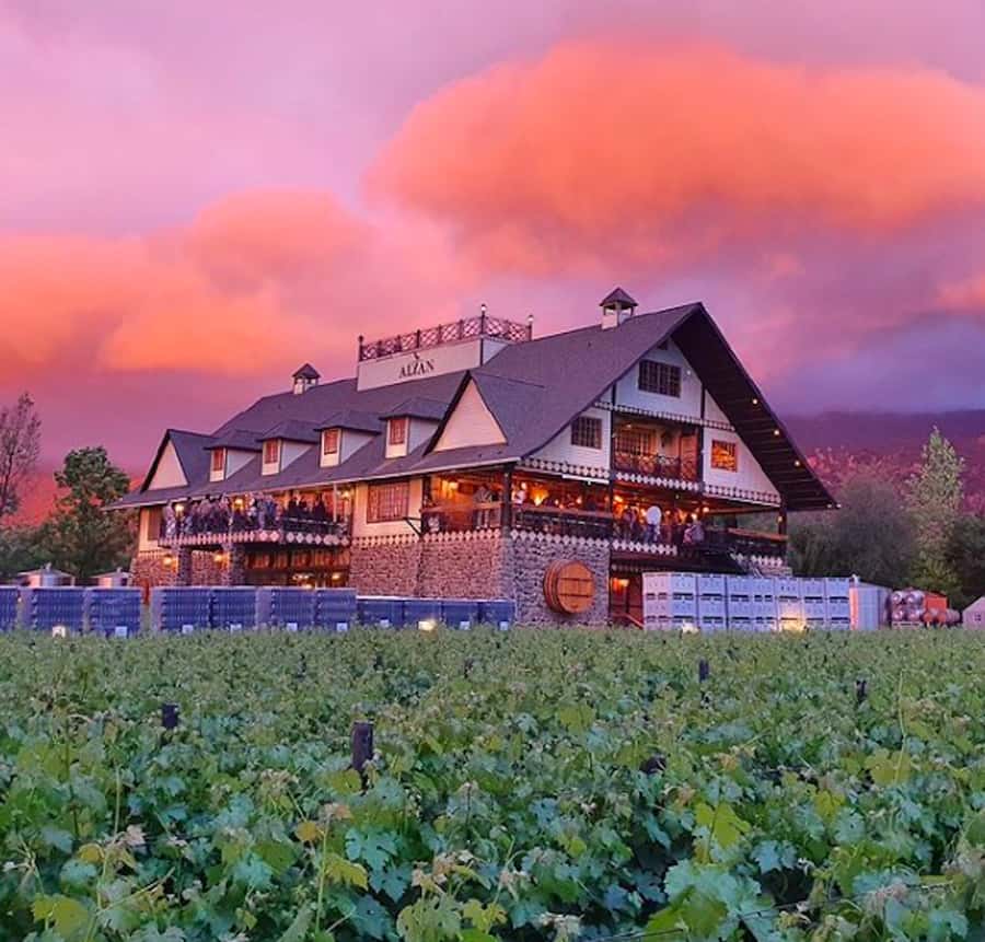 Alyan Family sunset winery - What makes this sunset winery visit special