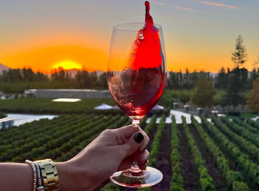 Alyan Family sunset winery - From Santiago to Alyan Family Wines