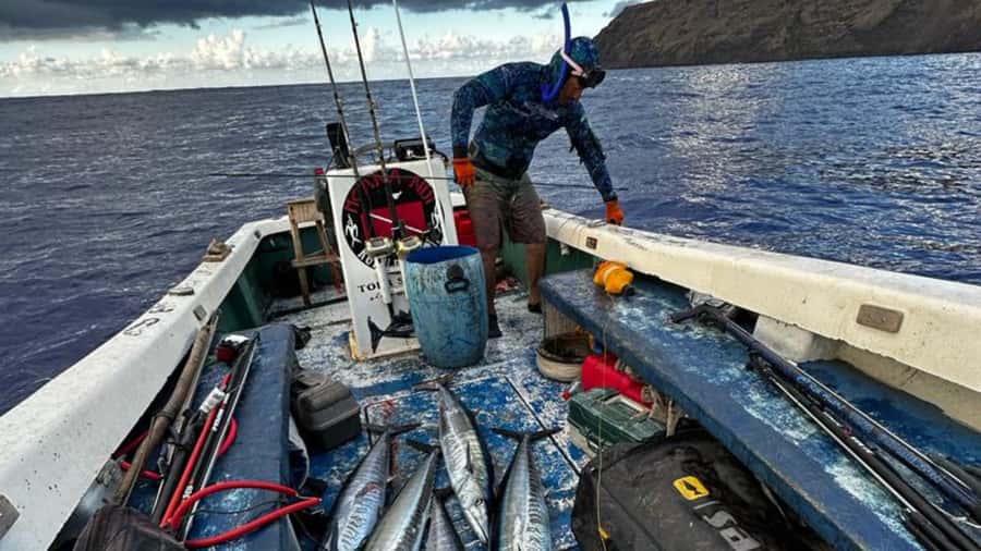 Ancestral fishing: Fishing with an experienced Rapa Nui - Key points to know before you book