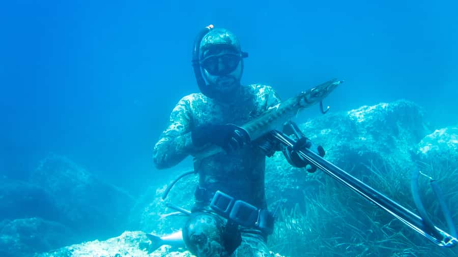 Ancestral fishing: Fishing with an experienced Rapa Nui - Is the $180 price good value?