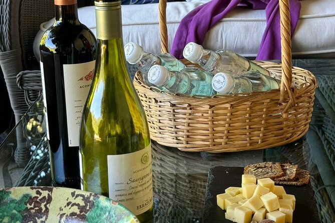 Andes Portillo & Aconcagua wine tour semi private - Viña El Escorial and the Aconcagua Valley finish