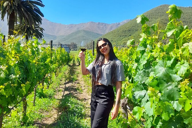 Andes Portillo & Aconcagua wine tour semi private - Los Caracoles and the first mountain views