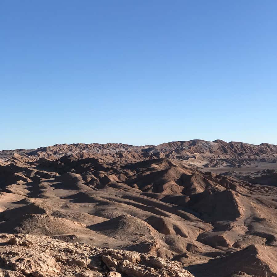 Atacama Desert and Magic Bus Visit - What the guides add to the experience
