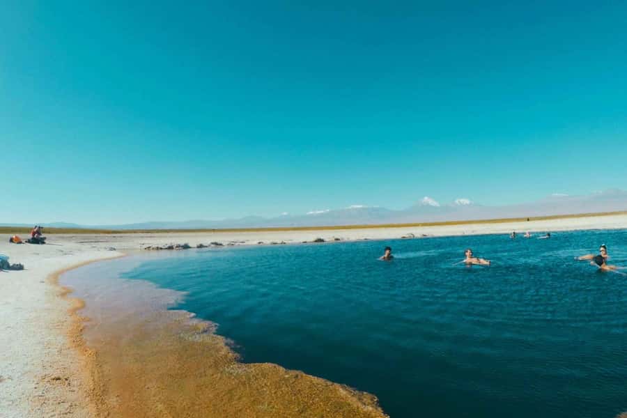 Atacama Desert: Floatation in Laguna Cejar and Sunset - Why Laguna Cejar deserves the top spot
