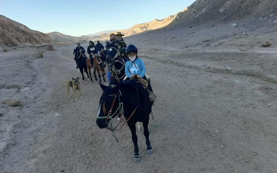 Atacama Desert: Horseback Adventure with Scenic Views - Chulacao Ravine and the final ride