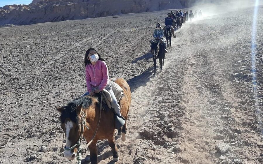 Atacama Desert: Horseback Adventure with Scenic Views - Who will enjoy this ride most