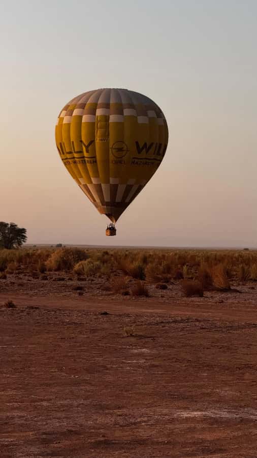 Atacama: San Pedro de Atacama Sunrise Hot Air Balloon Ride - Who should book this balloon ride?