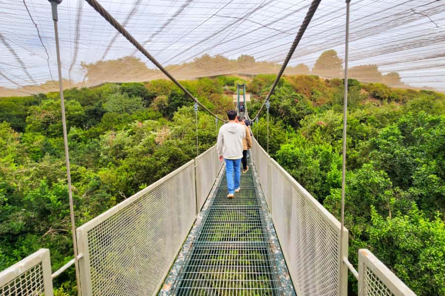 Aviary & Tricao Park Tour with Undurraga Wine Tasting - Key points to know before booking