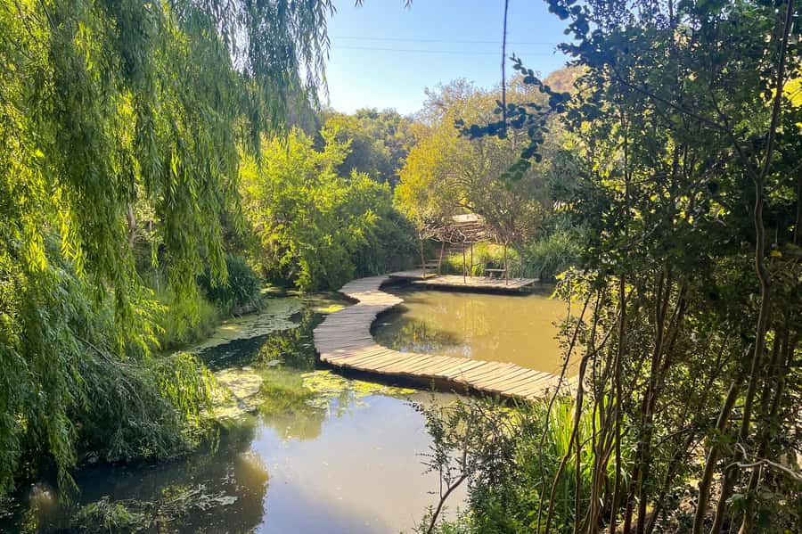 Aviary & Tricao Park Tour with Undurraga Wine Tasting - Why this Chile day trip works