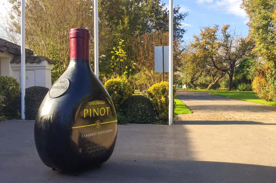 Aviary & Tricao Park Tour with Undurraga Wine Tasting - Tasting four reserve wines