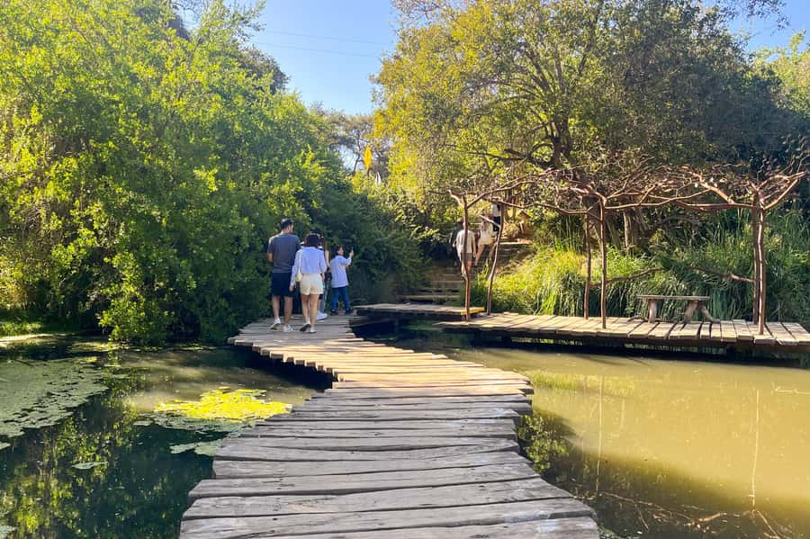 Aviary & Tricao Park Tour with Undurraga Wine Tasting - The two-hour ride out from Santiago