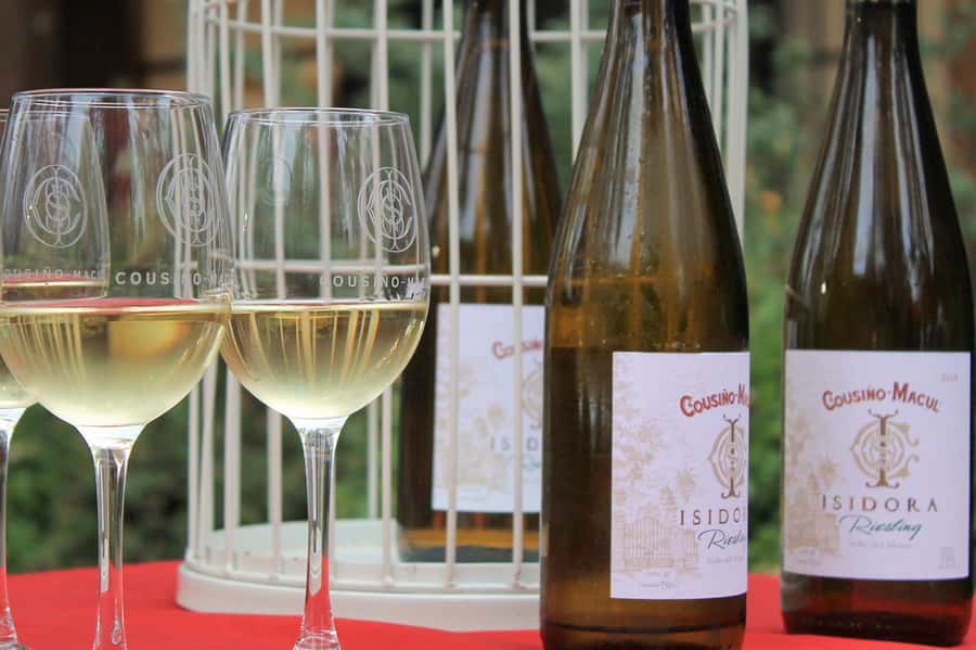 Bahá'i Temple and Cousiño Macul Vineyard - How the wine stop compares with a full winery day