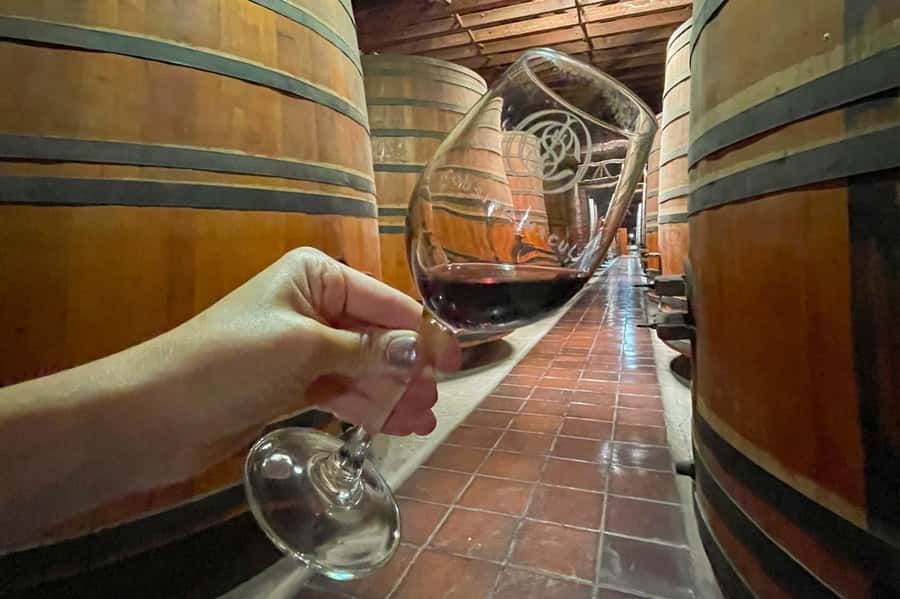 Bahá'i Temple and Cousiño Macul Vineyard - Guides, language, and the human side of the day
