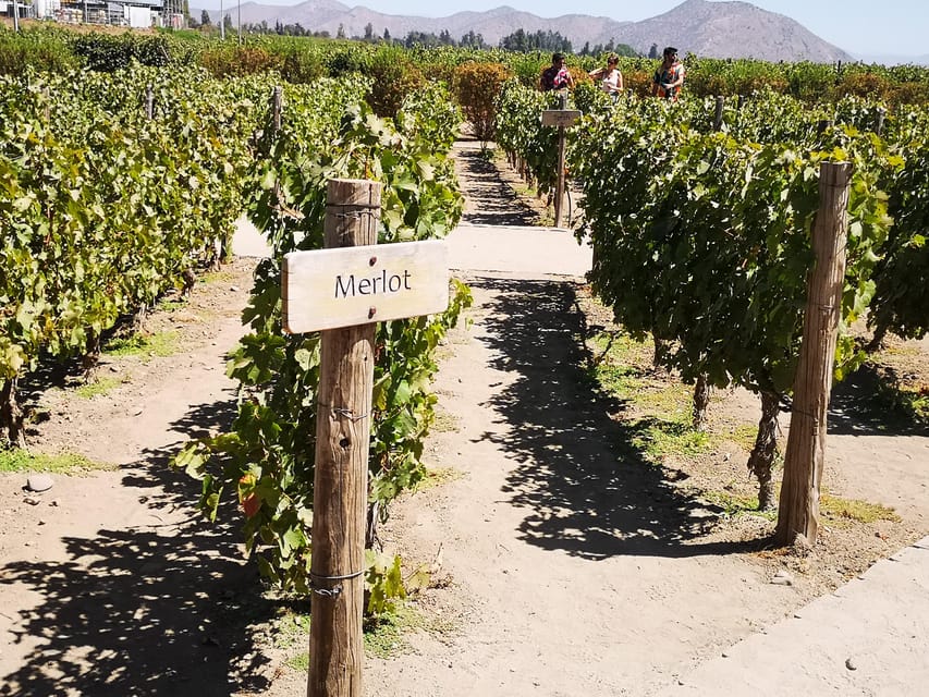 Bahá’í Temple, Winery and Lapis Lazuli + Private Transport - What the $159 price really buys