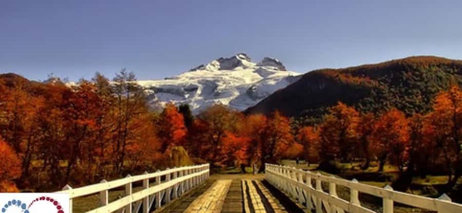 Bariloche: Cerro Tronador Tour - Key points to know before you book