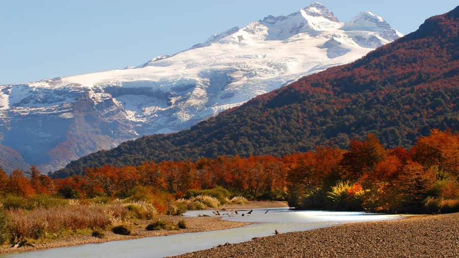 Bariloche: Cerro Tronador Tour - Pampa Linda gives the day its first real pause
