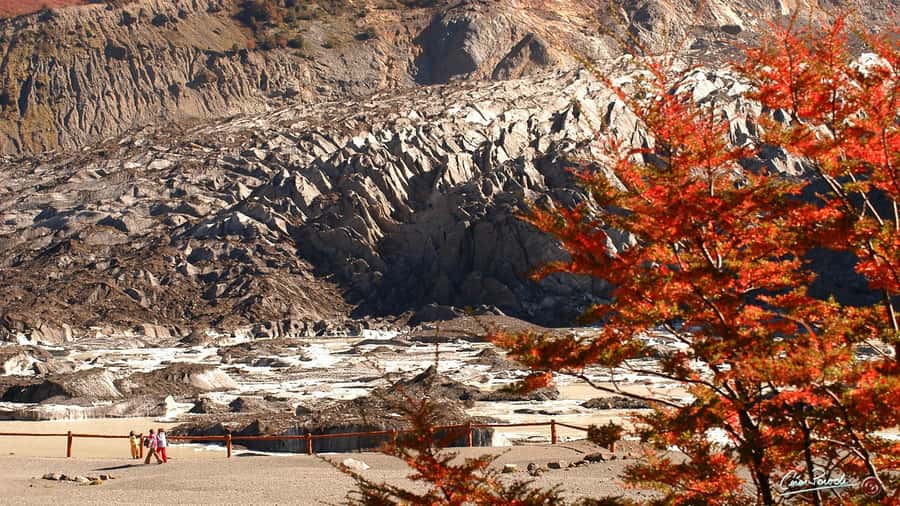 Bariloche: Cerro Tronador Tour - The road is part of the bargain