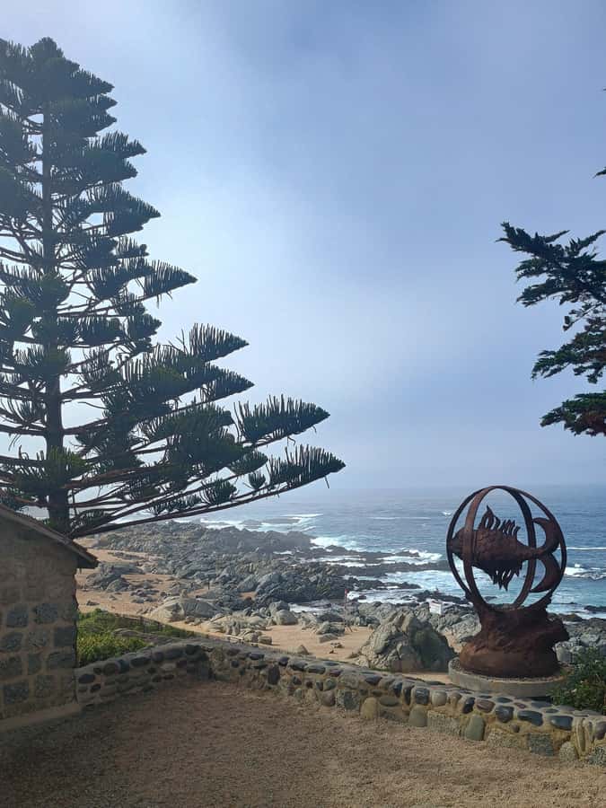 BLACK ISLAND AND CHILEAN WINE - The guide can shape the whole experience
