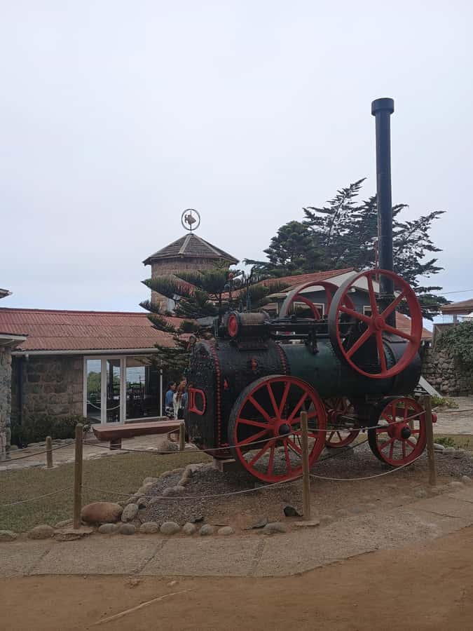 BLACK ISLAND AND CHILEAN WINE - Hotel pickup and the long coastal loop