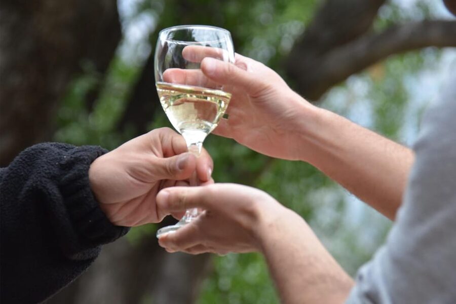 Cajon Del Maipo Including Wine with Picnic and Empanada - Who Will Enjoy This Cajón del Maipo Day?