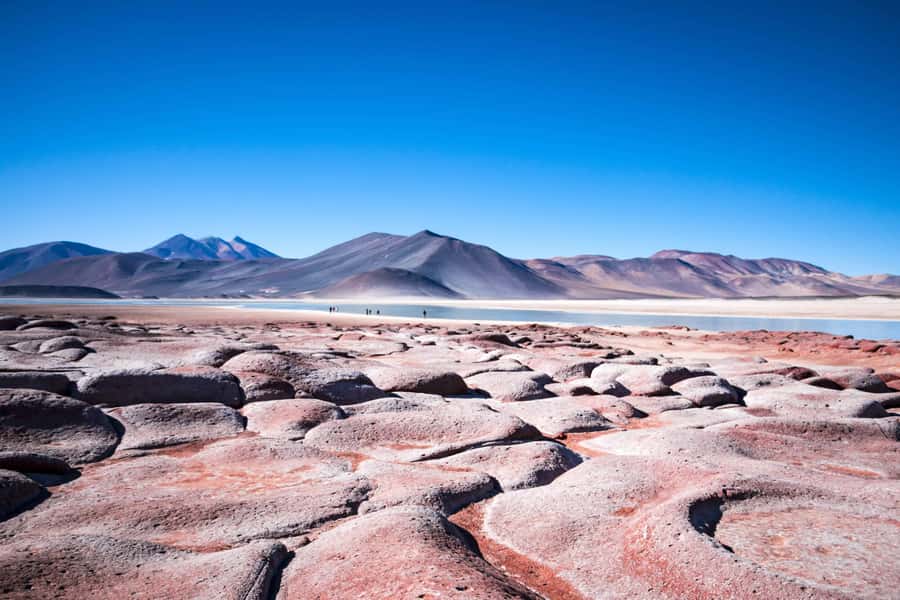 Caracoles: Red Stones of Atacama and Chaxa Guided Day Trip - Why this Atacama day trip earns its place