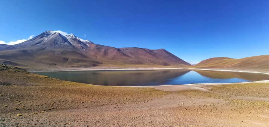 Caracoles: Red Stones of Atacama and Chaxa Guided Day Trip - Chaxa Lagoon and the Atacama Saltflat