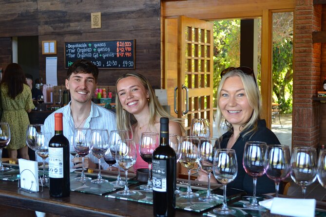 Casablanca world class wines, 4 vineyards & Tanino lunch stop - Viñamar: sparkling wine and a polished setting