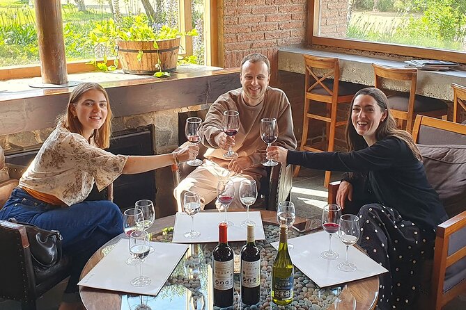 Casablanca world class wines, 4 vineyards & Tanino lunch stop - The pace, the guide, and the practical tradeoffs