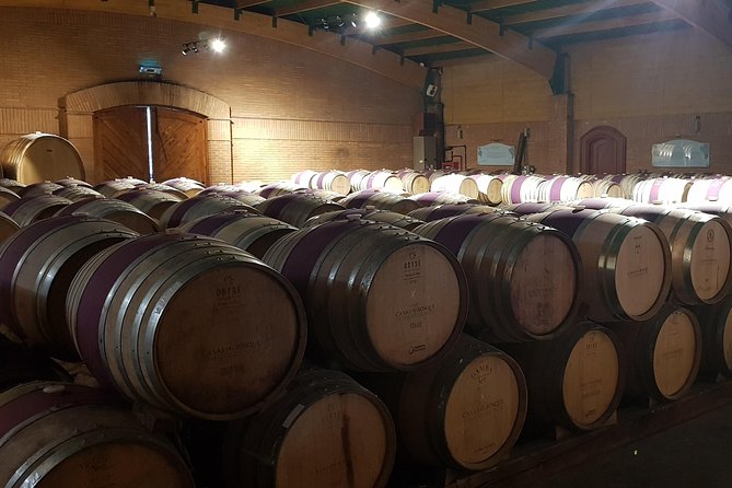 Casas del Bosque Winery + RE Wineries : Exclusive Tour + Transfer - How the price compares with the experience