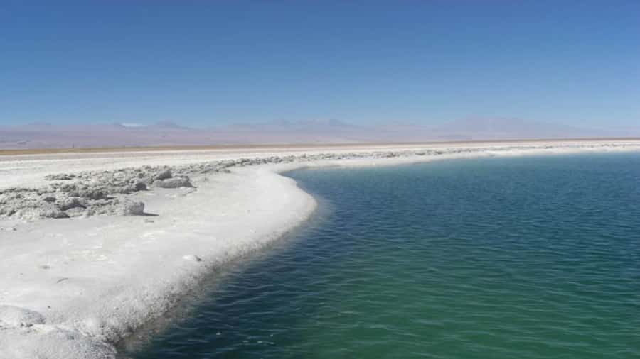 Cejar Lagoon, Tebenquiche Lagoon and Ojos del Salar - Cejar Lagoon and the famous floating stop