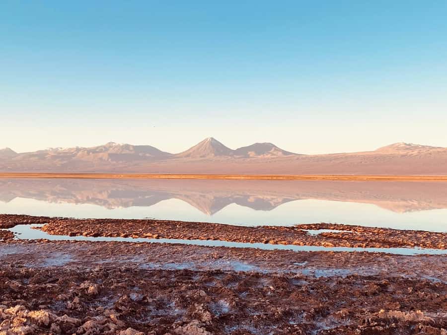 Cejar Lagoon Tour: San Pedro de Atacama - Key points to know before you go