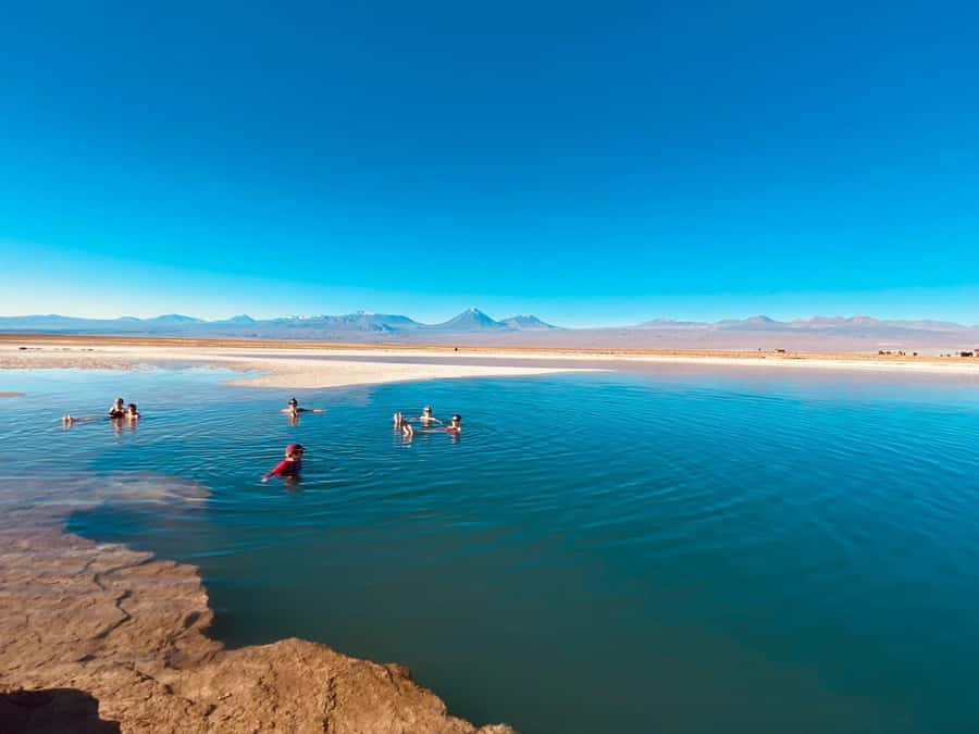 Cejar Lagoon Tour: San Pedro de Atacama - Ojos del Salar and its quiet pools