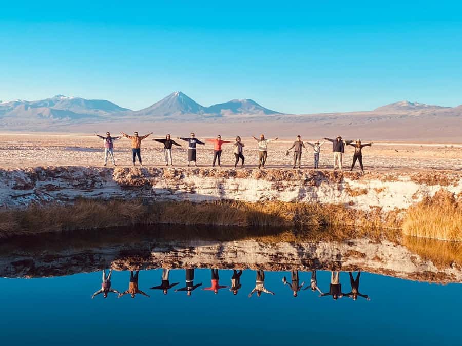 Cejar Lagoon Tour: San Pedro de Atacama - Cejar Lagoon: the main event