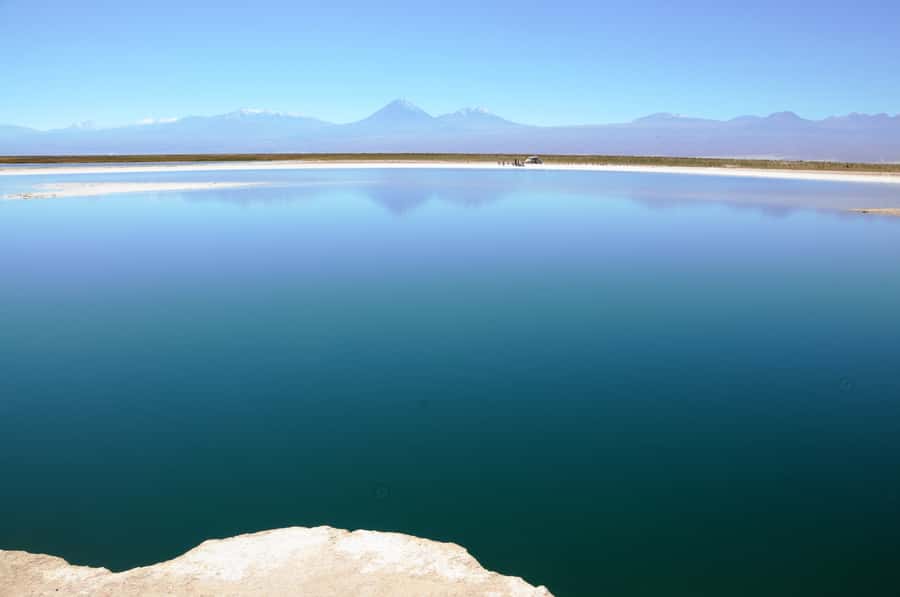Cejar & Tebenquiche Lagoons Tour with Ojos del Salar Atacama - Key points to know before you go