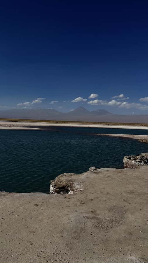 Cejar & Tebenquiche Lagoons Tour with Ojos del Salar Atacama - Why these lagoons make a good Atacama afternoon