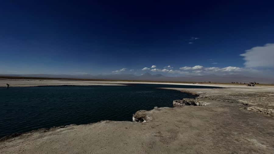 Cejar & Tebenquiche Lagoons Tour with Ojos del Salar Atacama - The freshwater Eyes of the Salt Flat