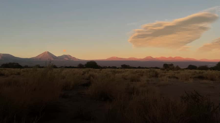 Cejar & Tebenquiche Lagoons Tour with Ojos del Salar Atacama - Who will enjoy this tour most