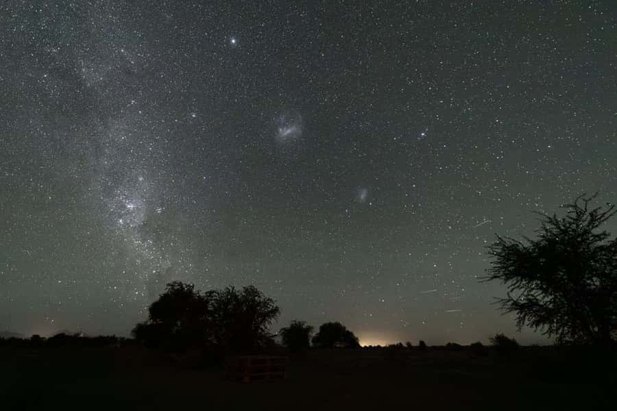 Chile: Astronomical Tour in the Atacama Desert - A cocktail under the stars