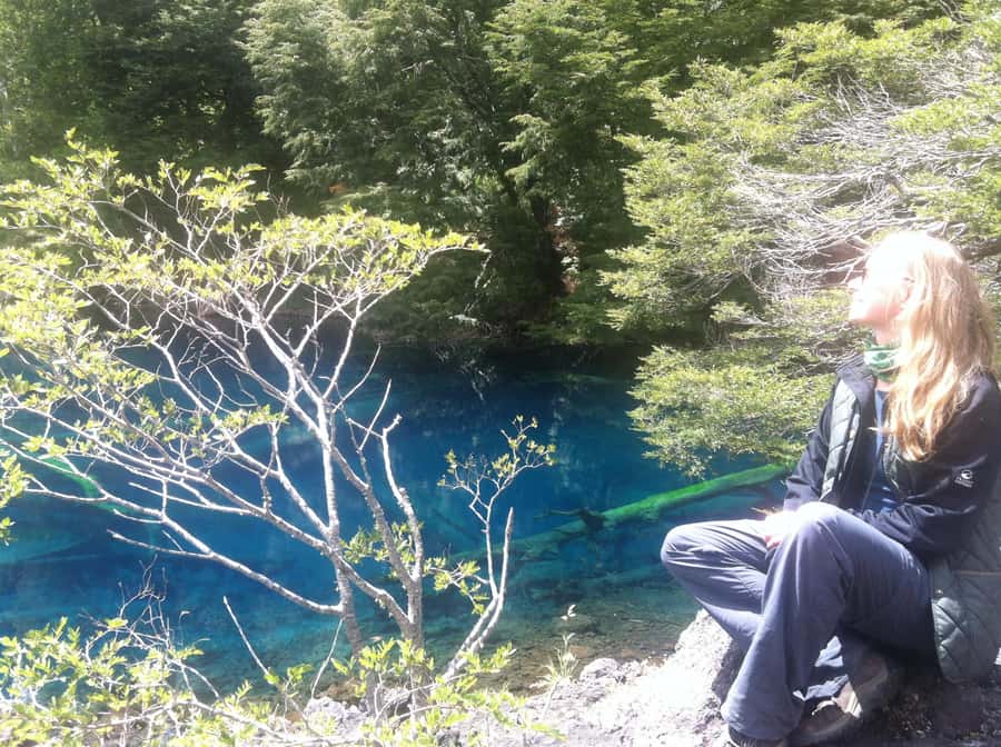 Conguillío National Park Tour, Full day - Laguna Verde and the chance to see Llaima Volcano