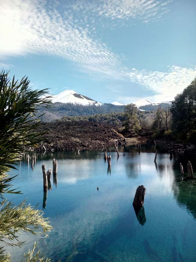 Conguillío National Park Tour, Full day - Laguna Arco Iris and the short walks