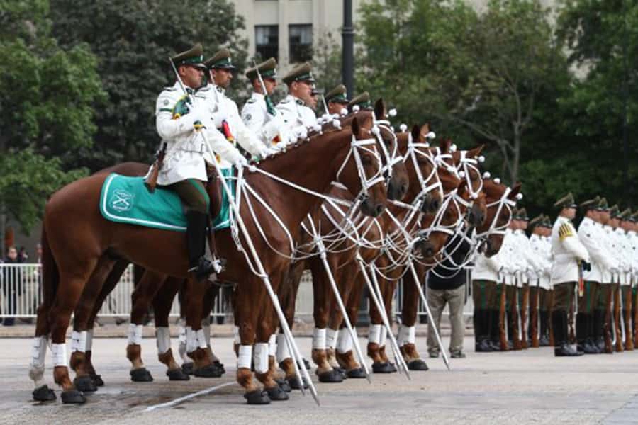 Discover Santiago, where modernity merges with history - Plaza de Armas and the Metropolitan Cathedral
