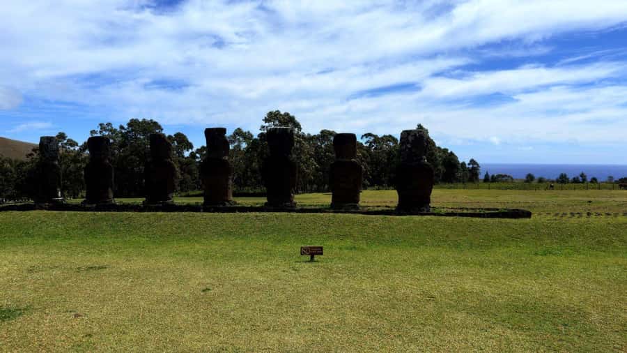 Easter Island: Half-Day Archaeology Tour - The guide and group experience