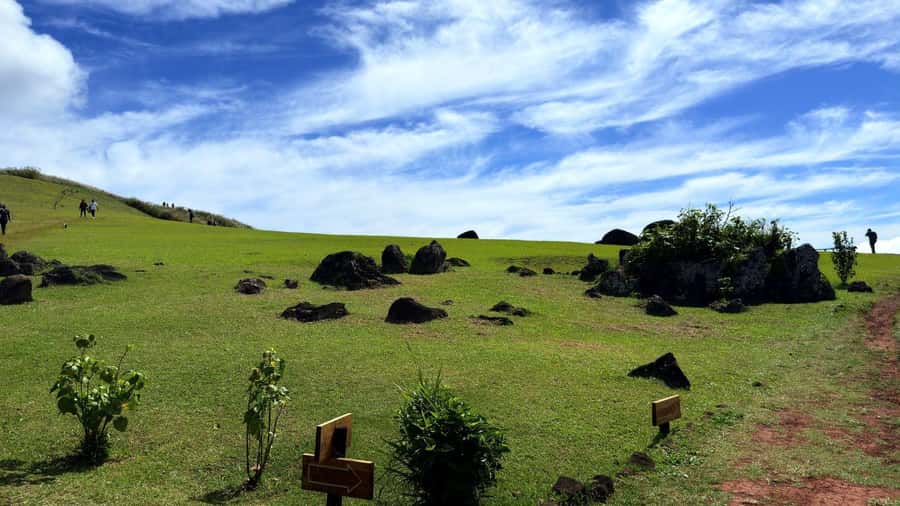 Easter Island: Half-Day Archaeology Tour - Should you book the three-hour route?