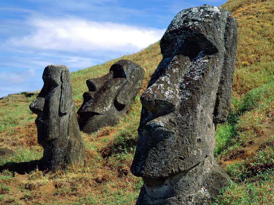 Easter Island: Moai Full Day Private Tour - What the $219 price includes and leaves out