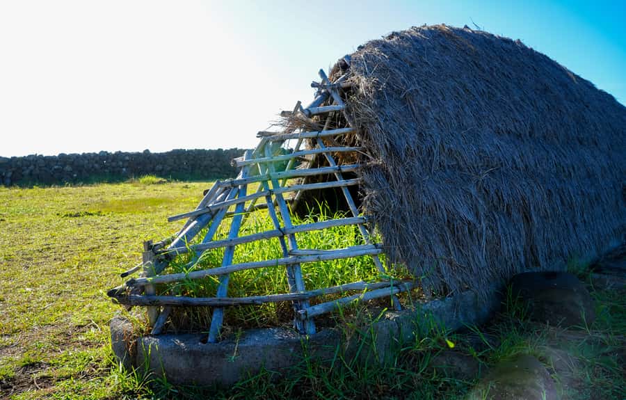 Easter Island: Moai Full Day Private Tour - Te Pito Kura and the meaning of sacred places
