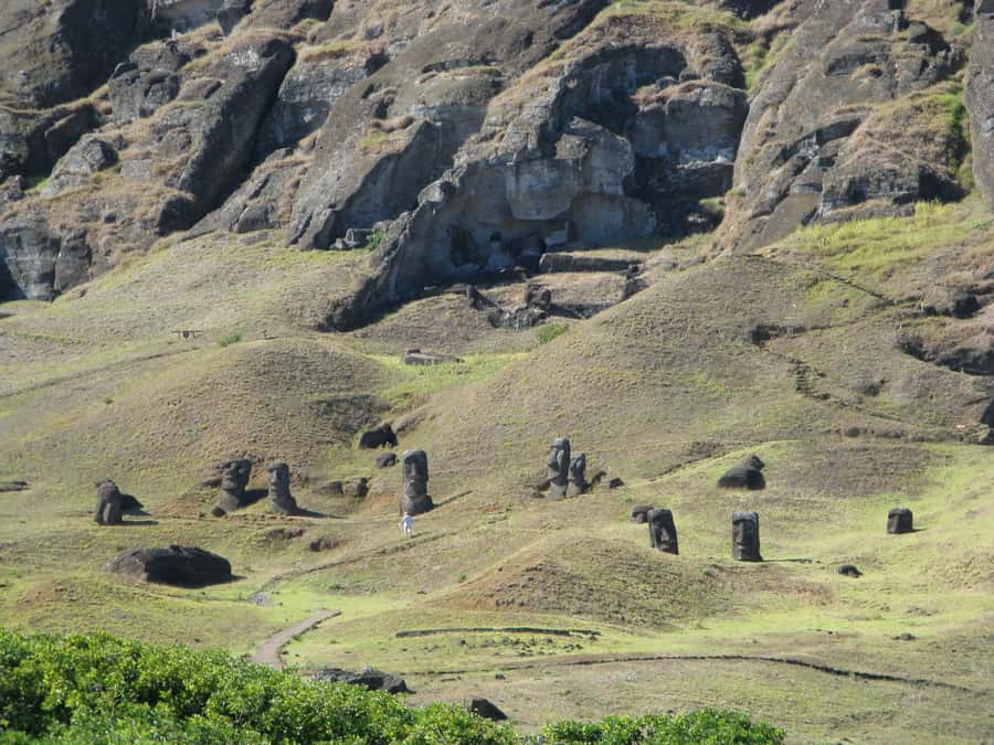 Easter Island: Private Full Day History Of The Moai - One Makihi, a short stop with an unusual form